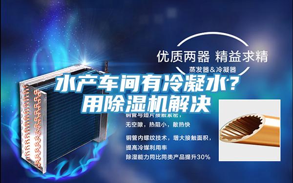 水產(chǎn)車(chē)間有冷凝水？用除濕機(jī)解決