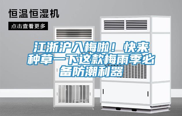 江浙滬入梅啦！快來(lái)種草一下這款梅雨季必備防潮利器
