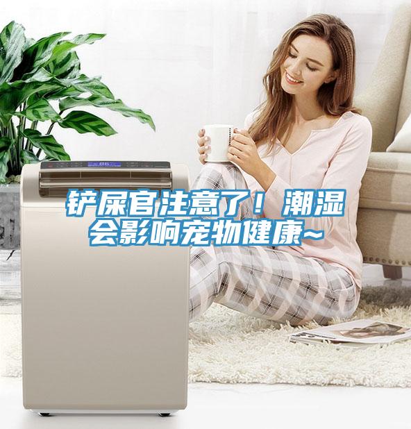 鏟屎官注意了！潮濕會影響寵物健康~