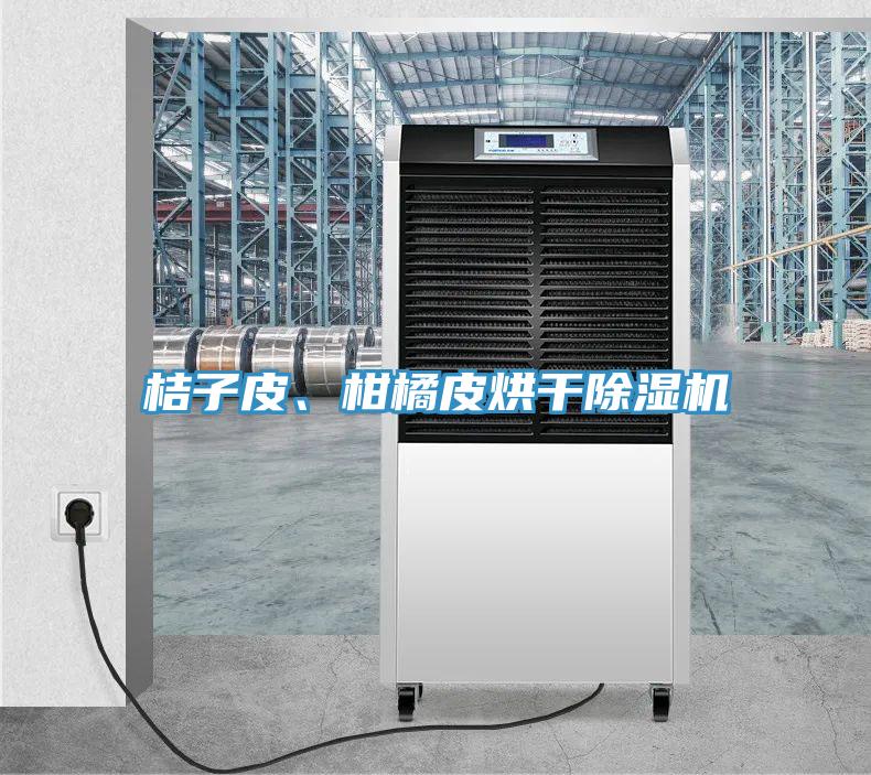 桔子皮、柑橘皮烘干除濕機(jī)
