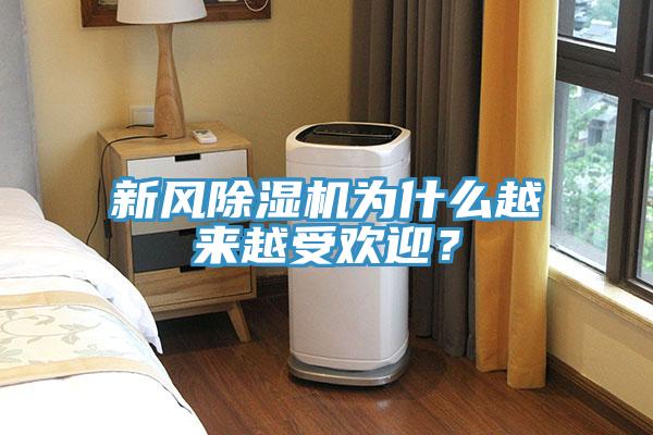 新風(fēng)除濕機(jī)為什么越來越受歡迎？