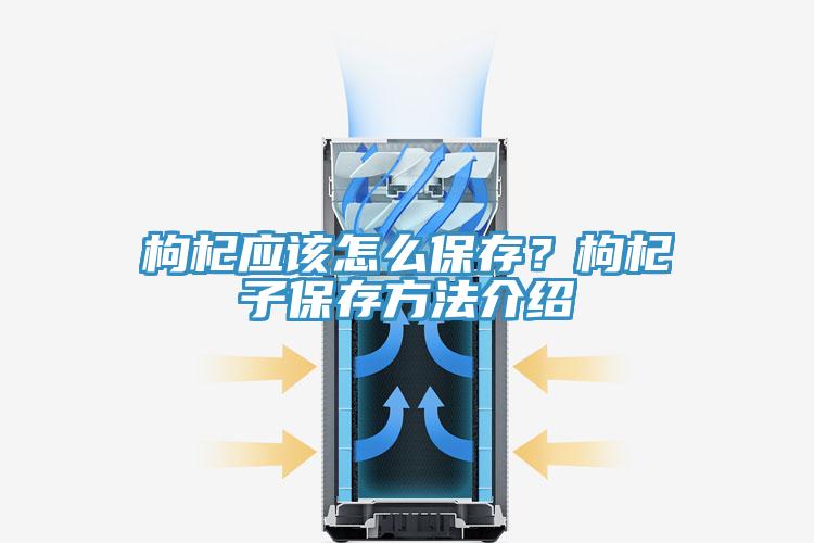 枸杞應(yīng)該怎么保存？枸杞子保存方法介紹