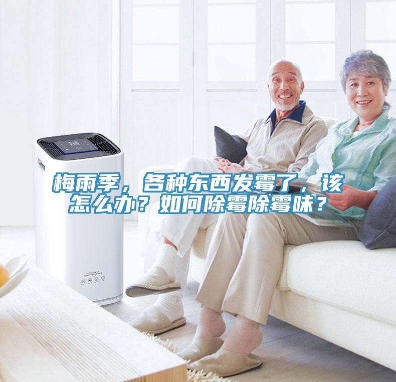 梅雨季，各種東西發(fā)霉了，該怎么辦？如何除霉除霉味？