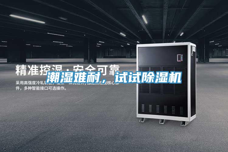 潮濕難耐，試試除濕機