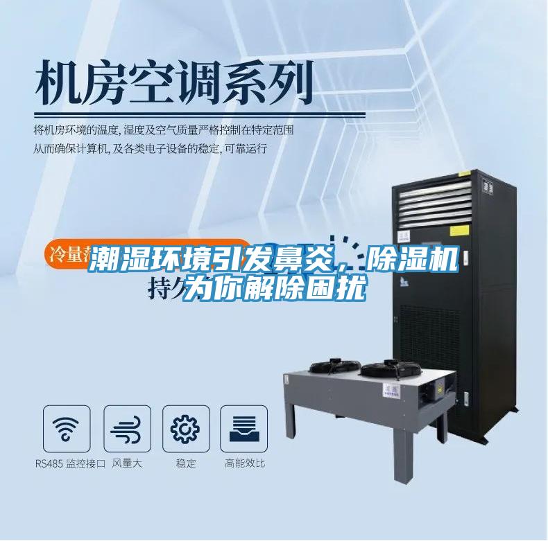 潮濕環(huán)境引發(fā)鼻炎，除濕機(jī)為你解除困擾