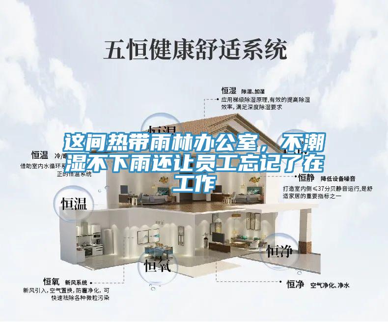 這間熱帶雨林辦公室，不潮濕不下雨還讓員工忘記了在工作