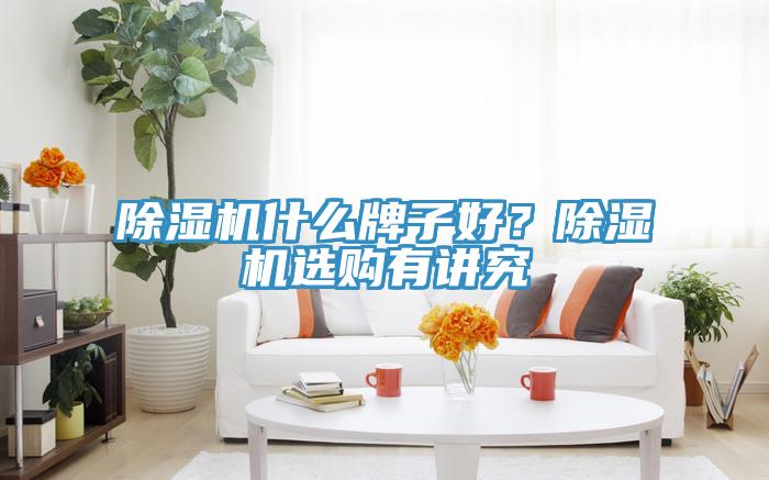 除濕機(jī)什么牌子好？除濕機(jī)選購(gòu)有講究