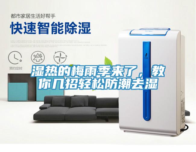 濕熱的梅雨季來了，教你幾招輕松防潮去濕