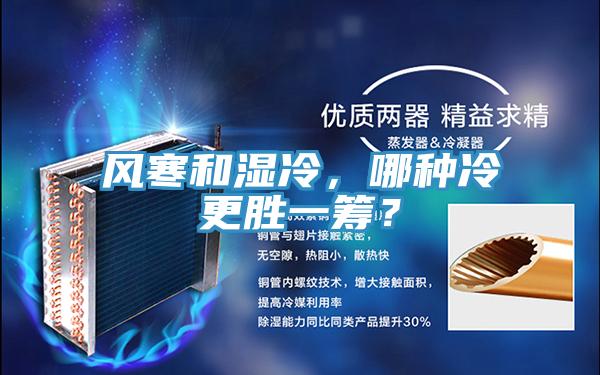 風(fēng)寒和濕冷，哪種冷更勝一籌？