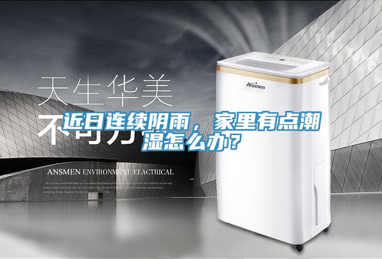 近日連續(xù)陰雨，家里有點潮濕怎么辦？