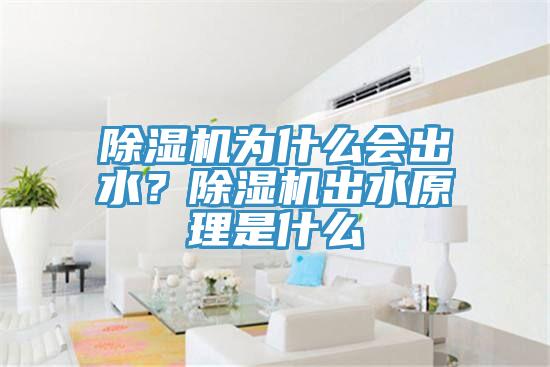 除濕機(jī)為什么會出水？除濕機(jī)出水原理是什么