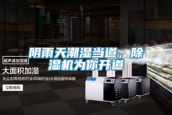 陰雨天潮濕當(dāng)?shù)?，除濕機為你開道