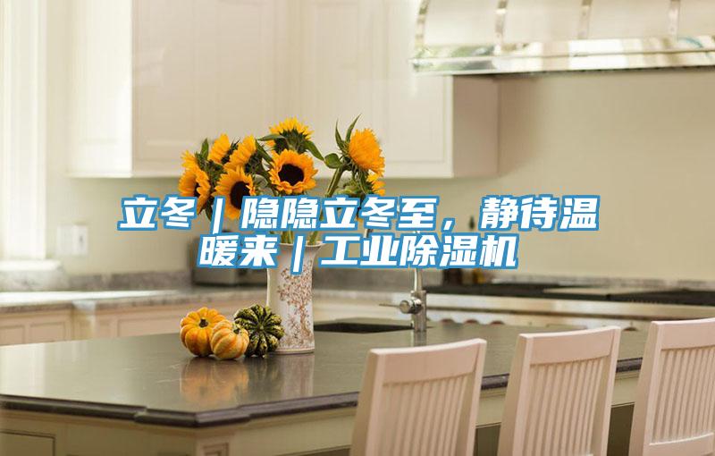 立冬｜隱隱立冬至，靜待溫暖來｜工業(yè)除濕機(jī)