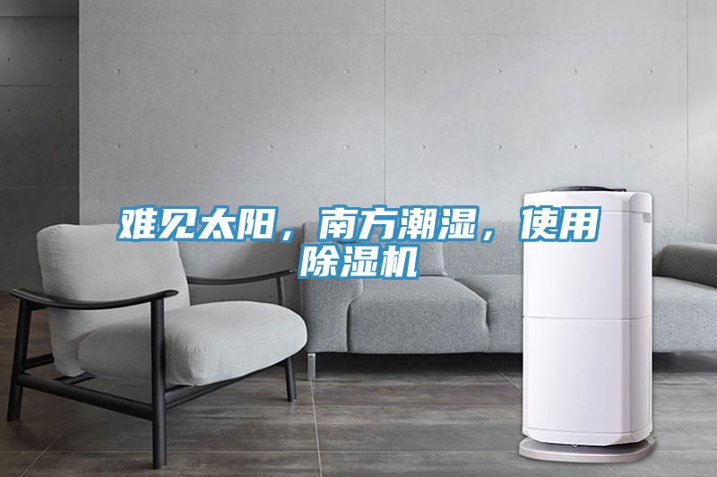 難見太陽，南方潮濕，使用除濕機(jī)