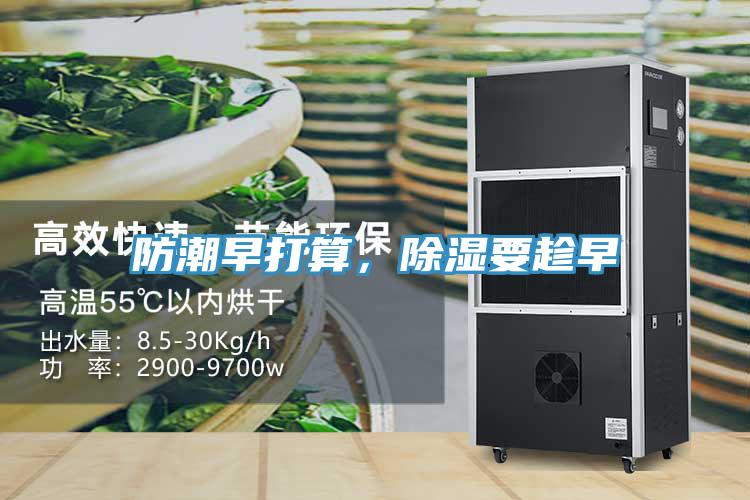 防潮早打算，除濕要趁早