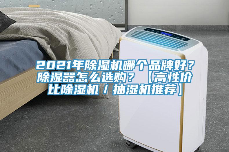 2021年除濕機(jī)哪個(gè)品牌好？除濕器怎么選購(gòu)？【高性價(jià)比除濕機(jī)／抽濕機(jī)推薦】