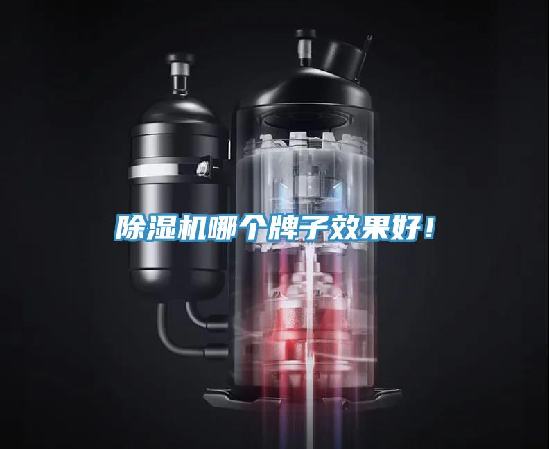 除濕機(jī)哪個牌子效果好！