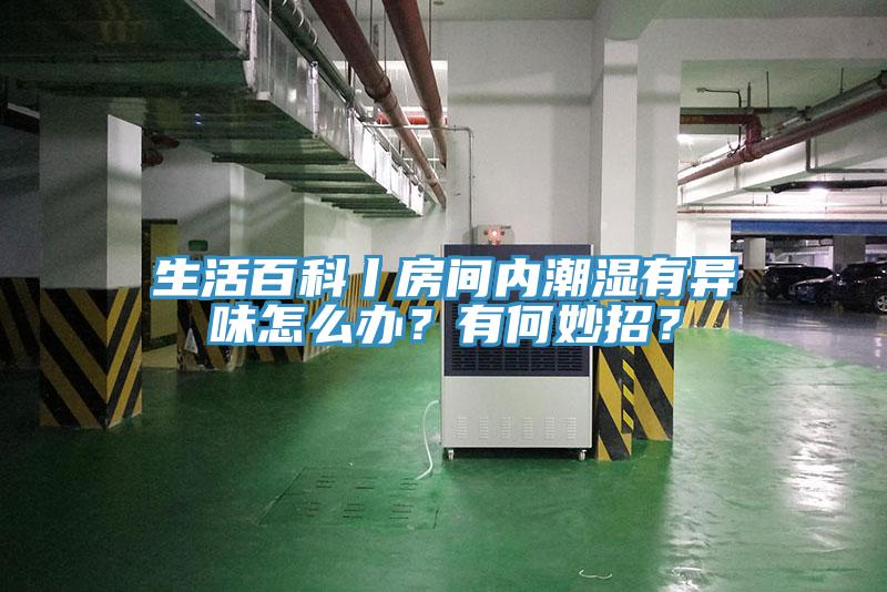生活百科丨房間內(nèi)潮濕有異味怎么辦？有何妙招？