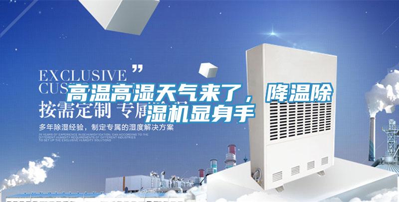 高溫高濕天氣來了，降溫除濕機顯身手