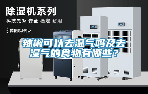 辣椒可以去濕氣嗎及去濕氣的食物有哪些？