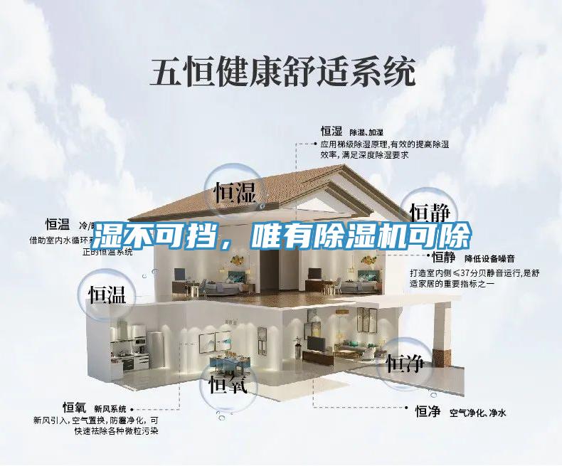 濕不可擋，唯有除濕機(jī)可除