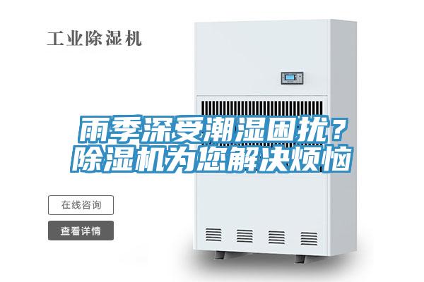 雨季深受潮濕困擾？除濕機為您解決煩惱