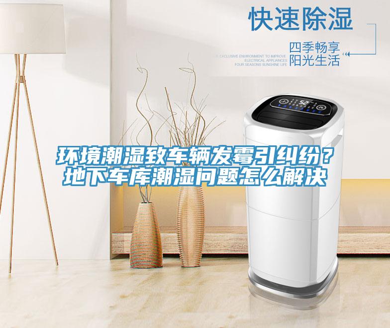 環(huán)境潮濕致車輛發(fā)霉引糾紛？地下車庫潮濕問題怎么解決