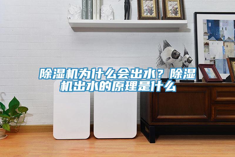 除濕機(jī)為什么會出水？除濕機(jī)出水的原理是什么