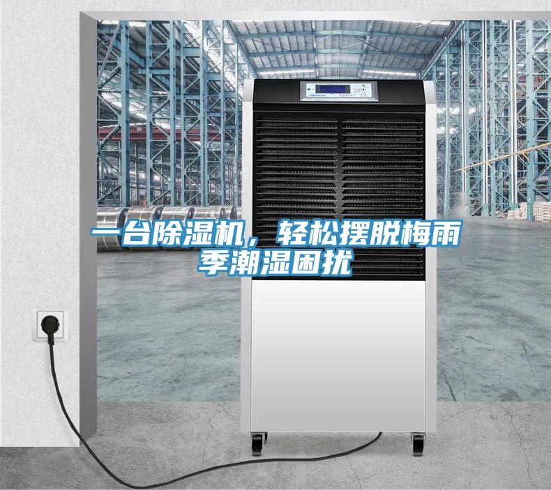 一臺(tái)除濕機(jī)，輕松擺脫梅雨季潮濕困擾