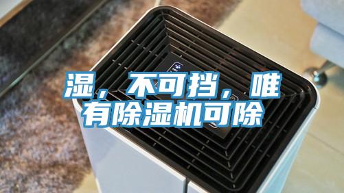 濕，不可擋，唯有除濕機(jī)可除