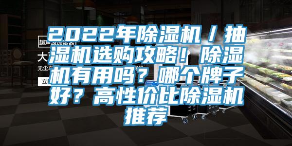 2022年除濕機(jī)／抽濕機(jī)選購(gòu)攻略！除濕機(jī)有用嗎？哪個(gè)牌子好？高性價(jià)比除濕機(jī)推薦