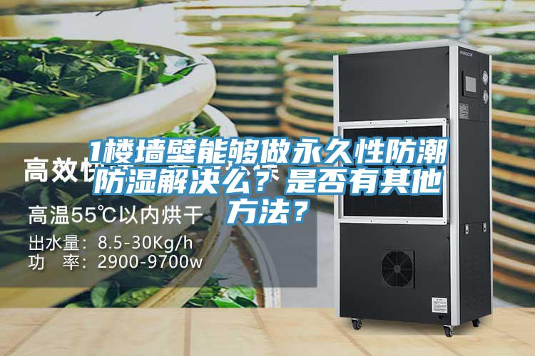 1樓墻壁能夠做永久性防潮防濕解決么？是否有其他方法？