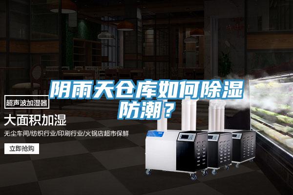 陰雨天倉庫如何除濕防潮？