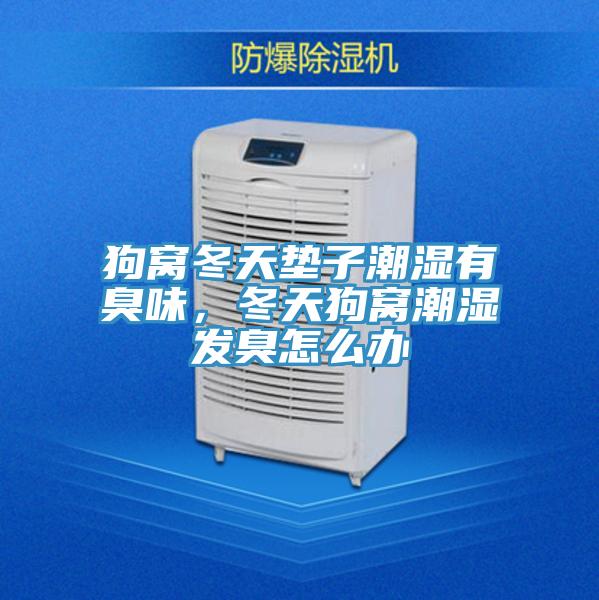狗窩冬天墊子潮濕有臭味，冬天狗窩潮濕發(fā)臭怎么辦