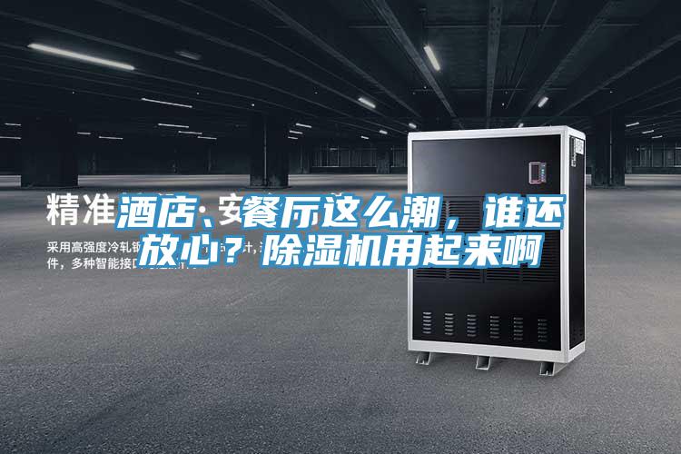酒店、餐廳這么潮，誰還放心？除濕機(jī)用起來啊