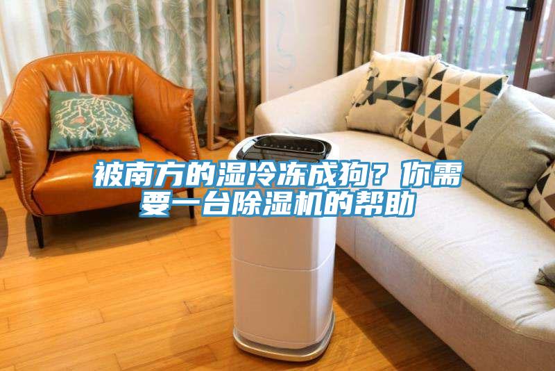 被南方的濕冷凍成狗？你需要一臺除濕機(jī)的幫助