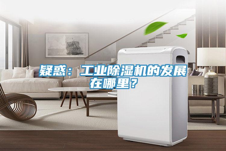 疑惑：工業(yè)除濕機(jī)的發(fā)展在哪里？