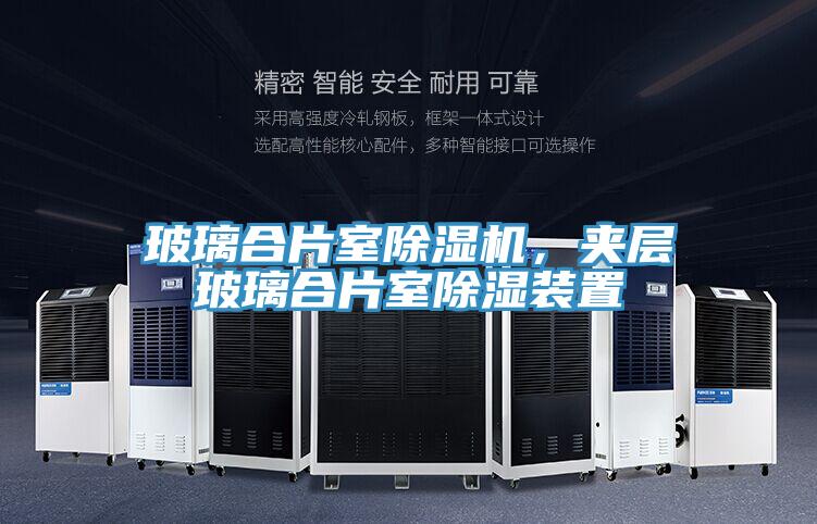 玻璃合片室除濕機(jī)，夾層玻璃合片室除濕裝置