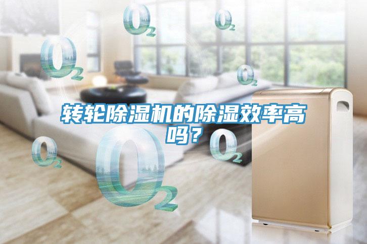轉(zhuǎn)輪除濕機(jī)的除濕效率高嗎？
