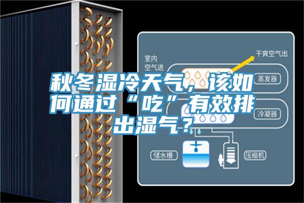 秋冬濕冷天氣，該如何通過(guò)“吃”有效排出濕氣？