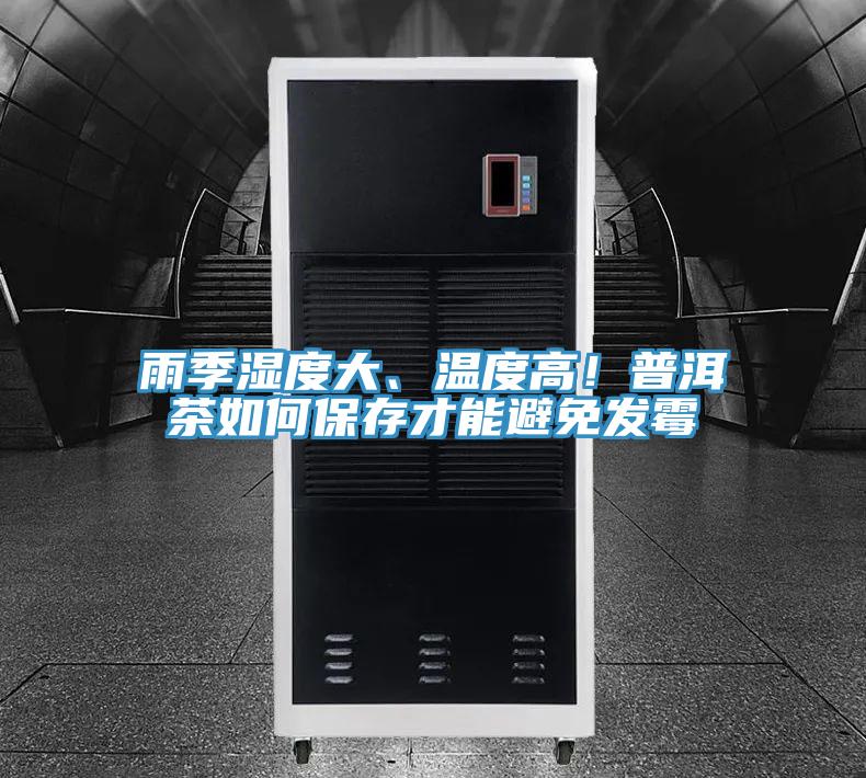 雨季濕度大、溫度高！普洱茶如何保存才能避免發(fā)霉