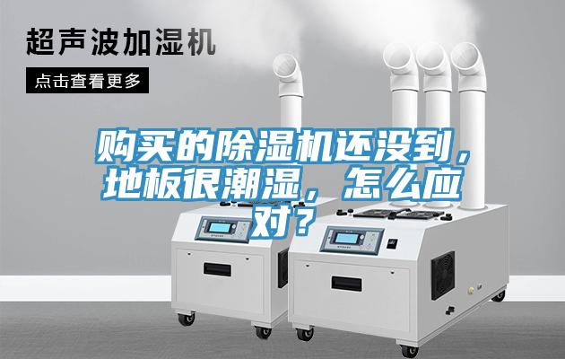 購買的除濕機(jī)還沒到，地板很潮濕，怎么應(yīng)對(duì)？