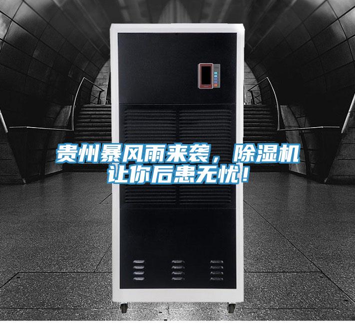 貴州暴風(fēng)雨來襲，除濕機(jī)讓你后患無憂！
