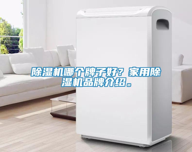 除濕機(jī)哪個牌子好？家用除濕機(jī)品牌介紹。