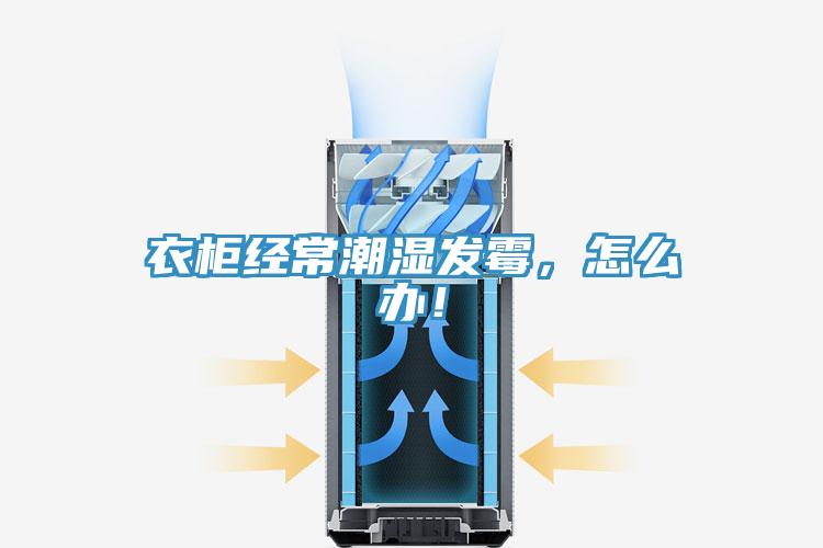 衣柜經(jīng)常潮濕發(fā)霉，怎么辦！