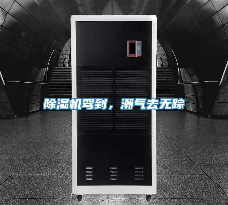除濕機駕到，潮氣去無蹤