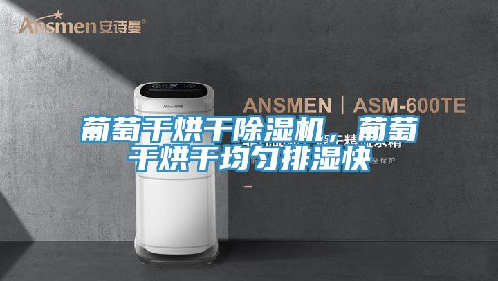 葡萄干烘干除濕機(jī)，葡萄干烘干均勻排濕快