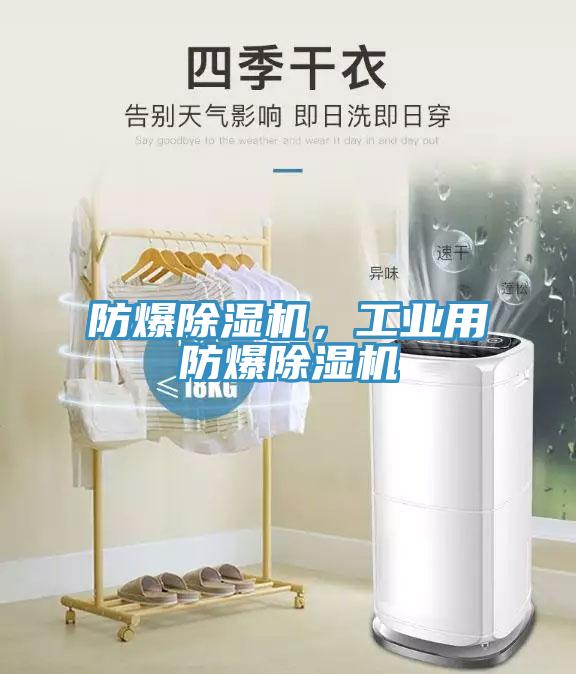 防爆除濕機(jī)，工業(yè)用防爆除濕機(jī)