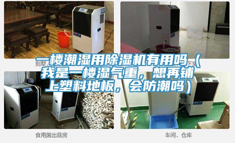 一樓潮濕用除濕機(jī)有用嗎（我是一樓濕氣重，想再鋪上塑料地板，會(huì)防潮嗎）