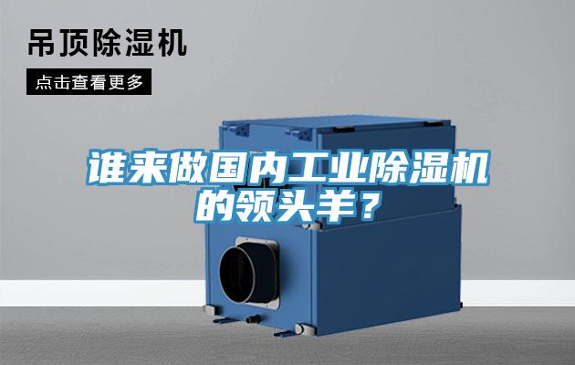 誰來做國內(nèi)工業(yè)除濕機(jī)的領(lǐng)頭羊？
